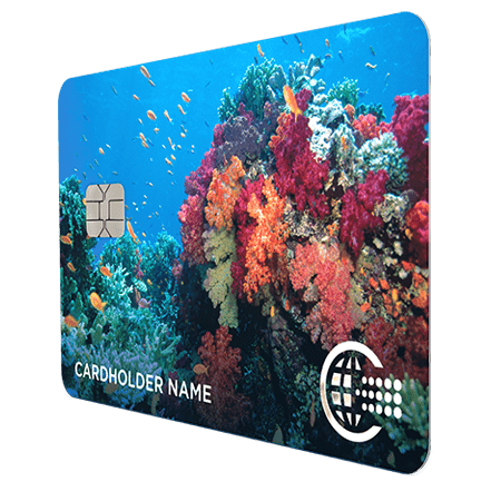 2019-09-30 Coral-Card_4-min